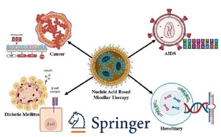 Nucleic Acid–Based Micellar Systems and NAAT Diagnostics: Translational Foundations for Molecular Precision